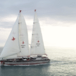 Grain de Sail amarre bientôt à Dunkerque