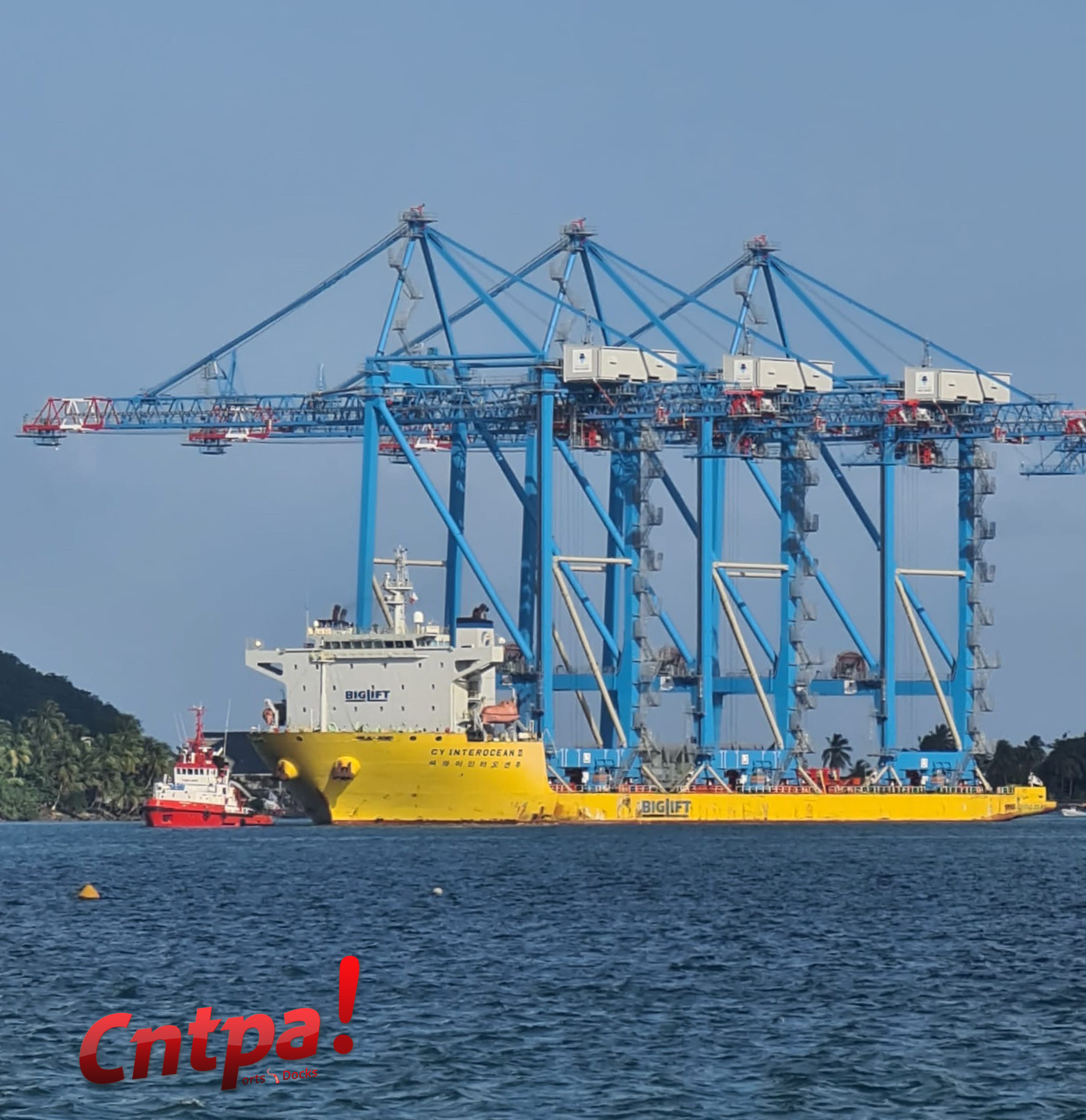 a480279c-3ef0-4901-9a19-f3c7636fe645