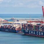 Avec 80 000 tonnes en plus, Dunkerque renforce sa position de leader en France d’importation de fruits exotiques