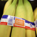 Comment la banane française est parvenue à se différencier pour résister à la concurrence