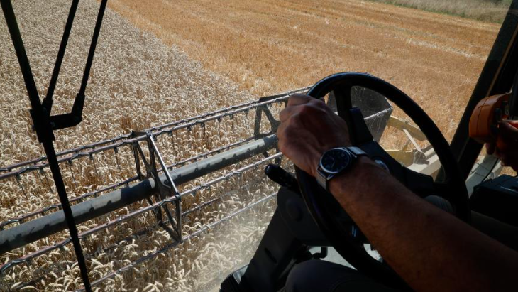 Dans le Dunkerquois, la qualité des céréales est jugée « très bonne » mais les rendements sont inférieurs à 2025 
