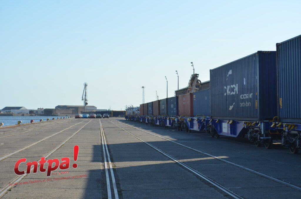 Importation de voitures neuves : un nouveau marché pour le port de Dunkerque — image 11