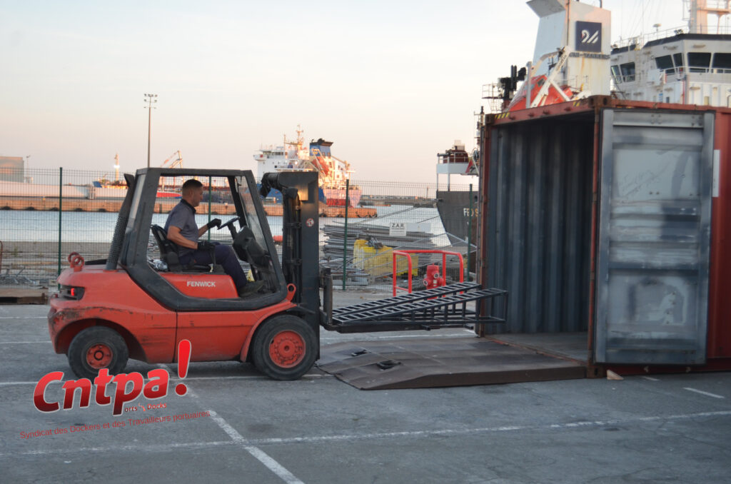 Importation de voitures neuves : un nouveau marché pour le port de Dunkerque — image 6